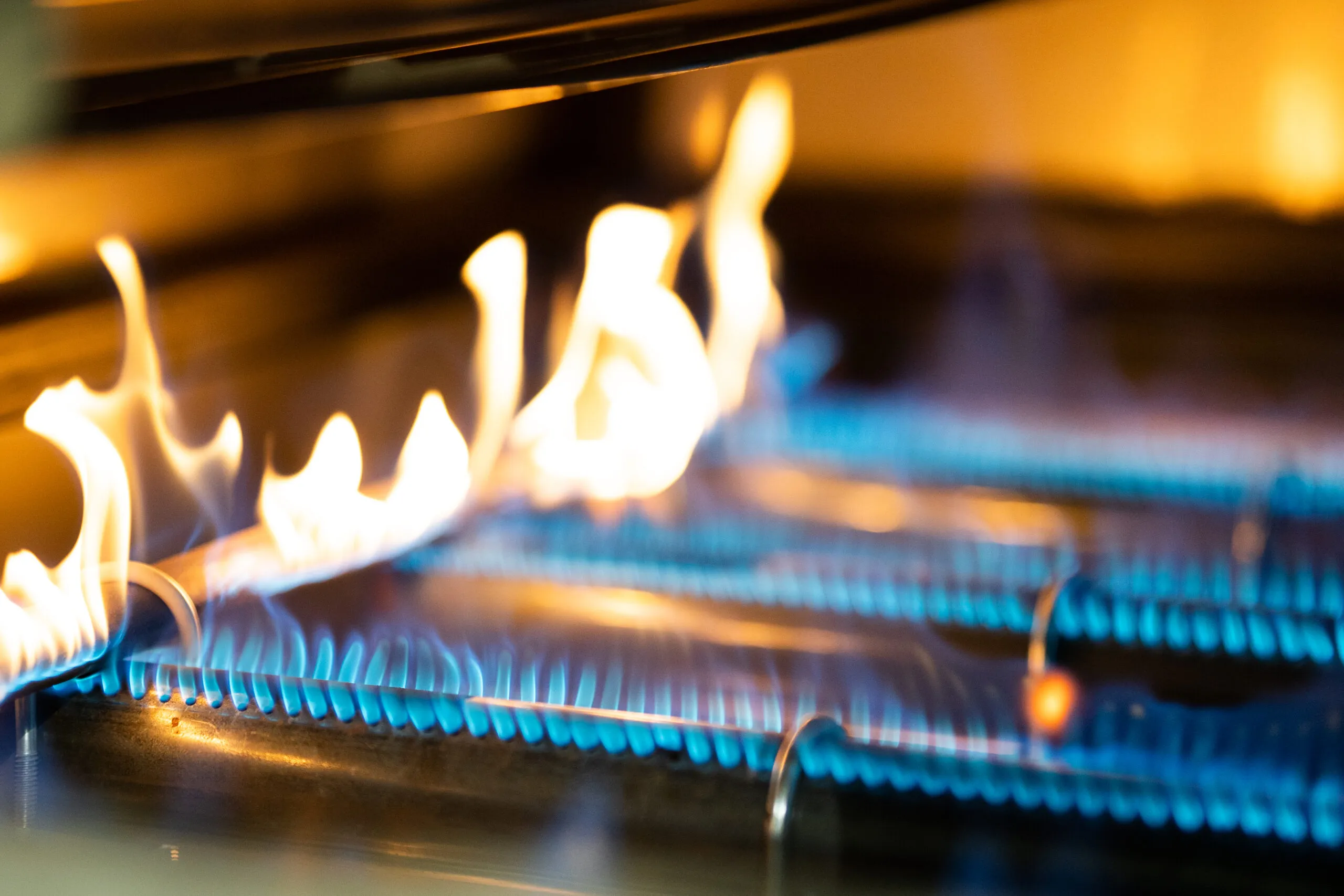 Model 600 Chicken and Rib Cooker - Image 2