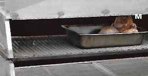 Stainless Steel Holding and Warming Grate